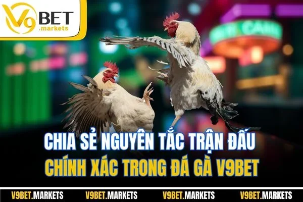 Chia sẻ nguyên tắc trận đấu chính xác trong đá gà V9BET