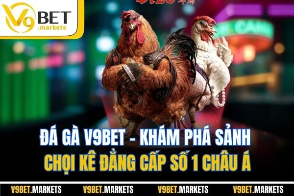 Đá Gà V9BET - Khám Phá Sảnh Chọi Kê Đẳng Cấp Số 1 Châu Á