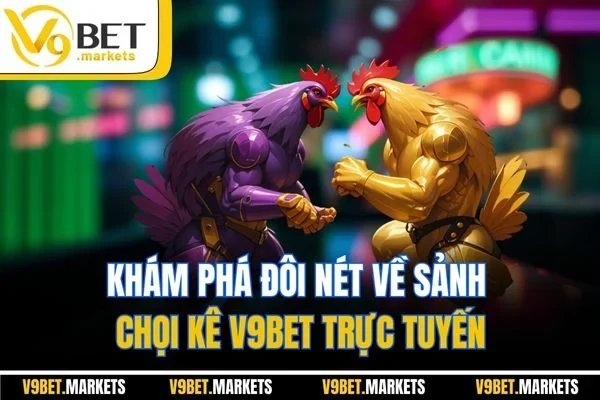 Khám phá đôi nét về sảnh chọi kê V9BET trực tuyến