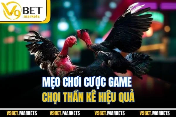 Mẹo chơi cược game chọi thần kê hiệu quả