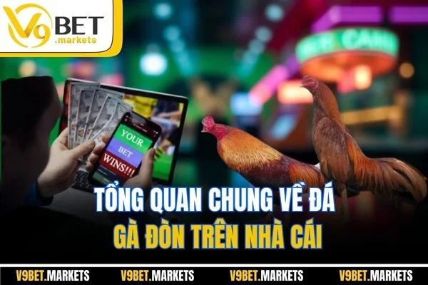 Tổng quan chung về đá gà đòn trên nhà cái